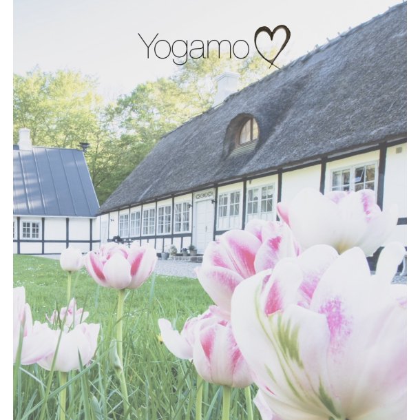 "Væren &amp; Nærvær" Yoga- &amp; Meditationsretreat 24.-29. juli 2023